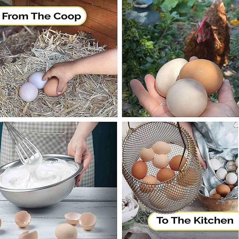 Egg Basket, Collapsible Mini Egg Storage for Eggs - Can Easily Load Eggs for Carrying and Collectin