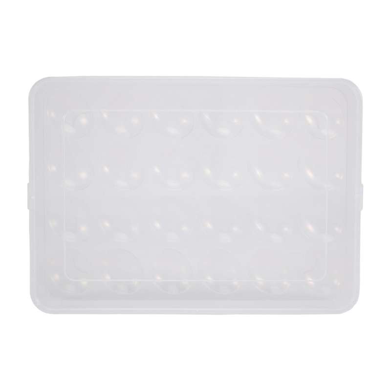 Egg Holder Compatible Refrigerator, Deviled Egg Tray Carrier with Lid Fridge Egg Storage Stackable P