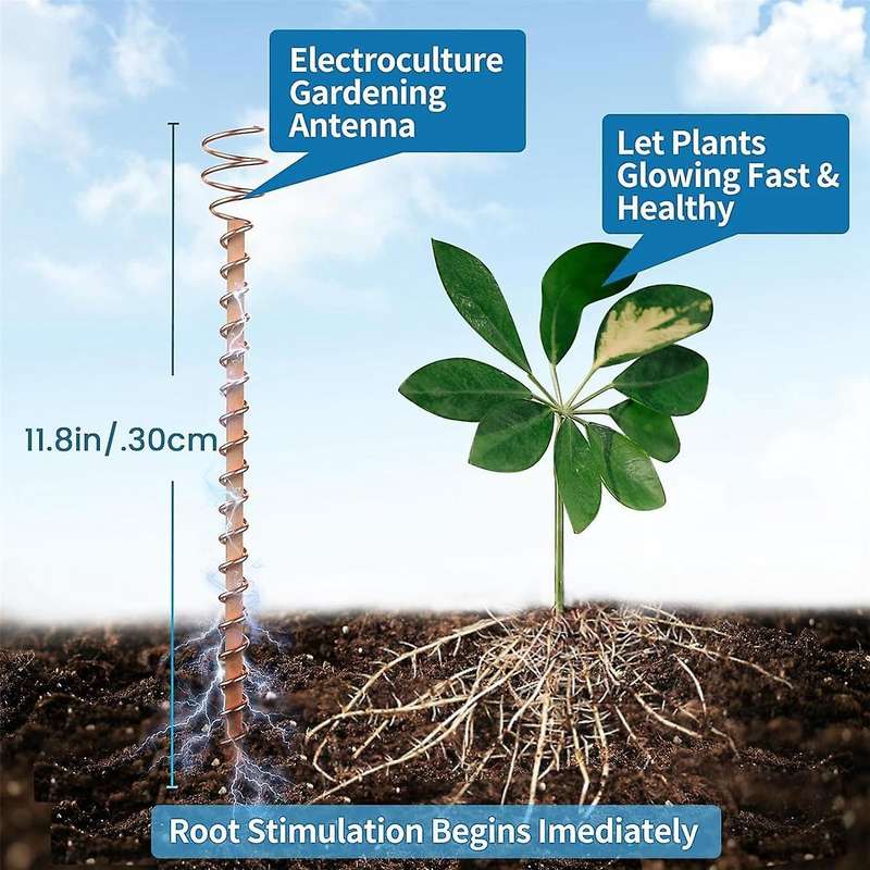 Electroculture Plant Stakes, 6Pcs 11.5Inch Long Electroculture Gardening Copper Coil Antennas for Gr