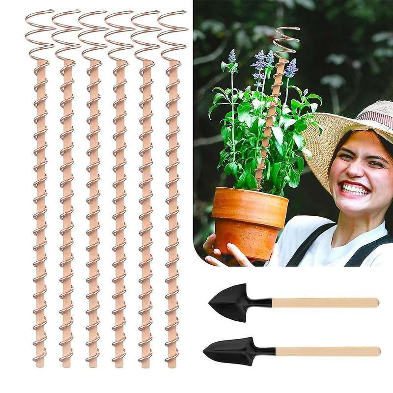 Electroculture Plant Stakes, 6pcs 11.5inch Long Electroculture Gardening Copper Coil Antennas for G