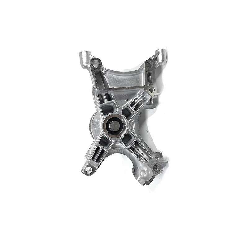 Engine Auto Water Pump Bracket for Land Cruiser 100 Ls400 16307-50012