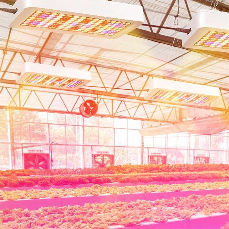 Eu Plug,240led Grow Plant Lights Full Spectrum Greenhouse Growing Lamp for Indoor Plants Veg Hydropo