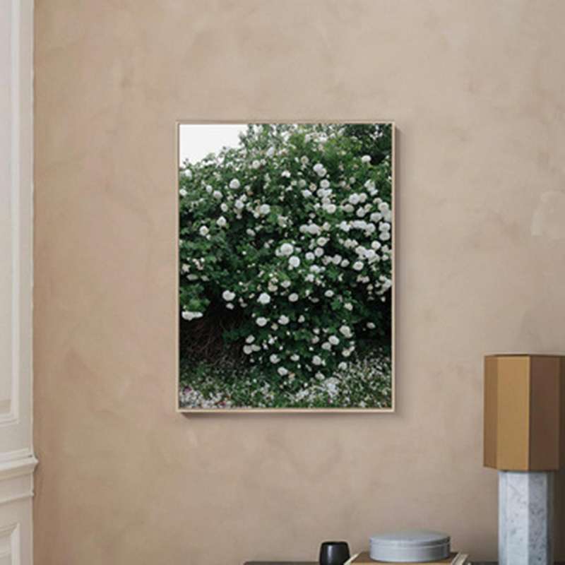 Fashion Poster Rose Flower Feather Nordic Style Wall Art Print Canvas Modern Painting Living Room De
