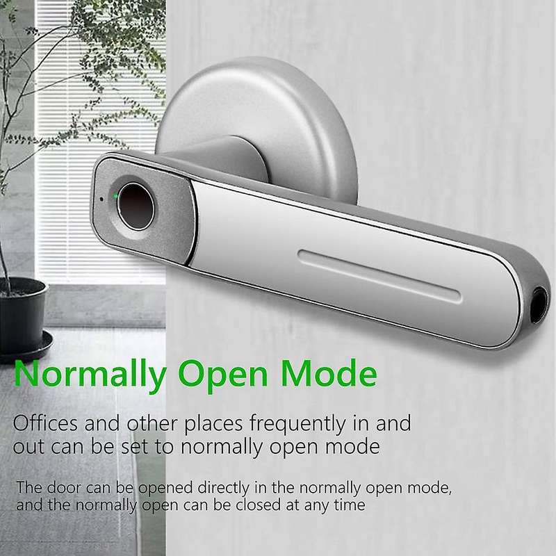 Fingerprint Door Lock Handle Smart Electric Biometric Entry with 2 Keys Anti Theft Lock for Apartmen