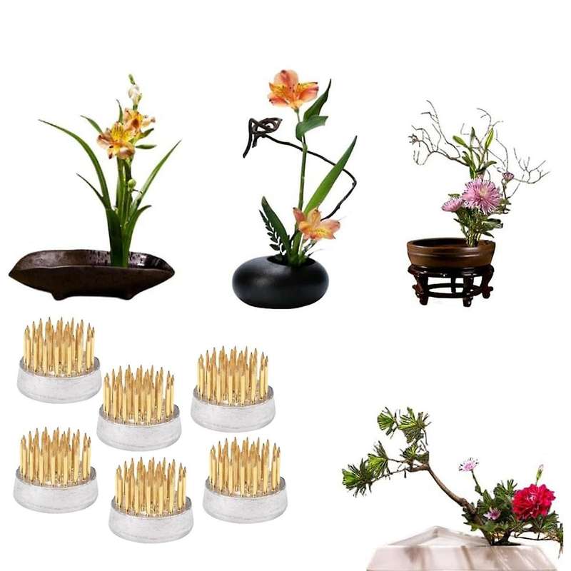 Flower Frogs for Arrangements Holder Flower Frog Brass Pin Frog for Classroom Teaching, Home, Office