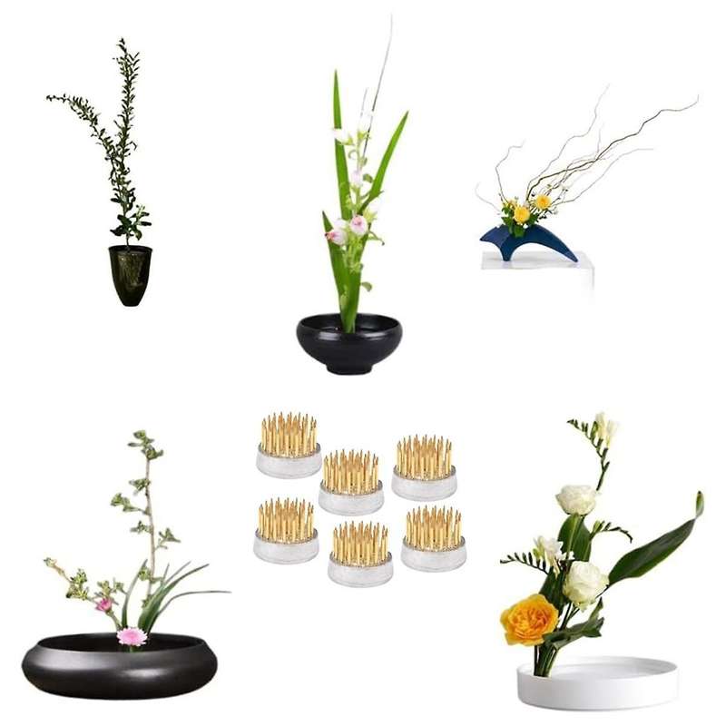 Flower Frogs for Arrangements Holder Flower Frog Brass Pin Frog for Classroom Teaching, Home, Office