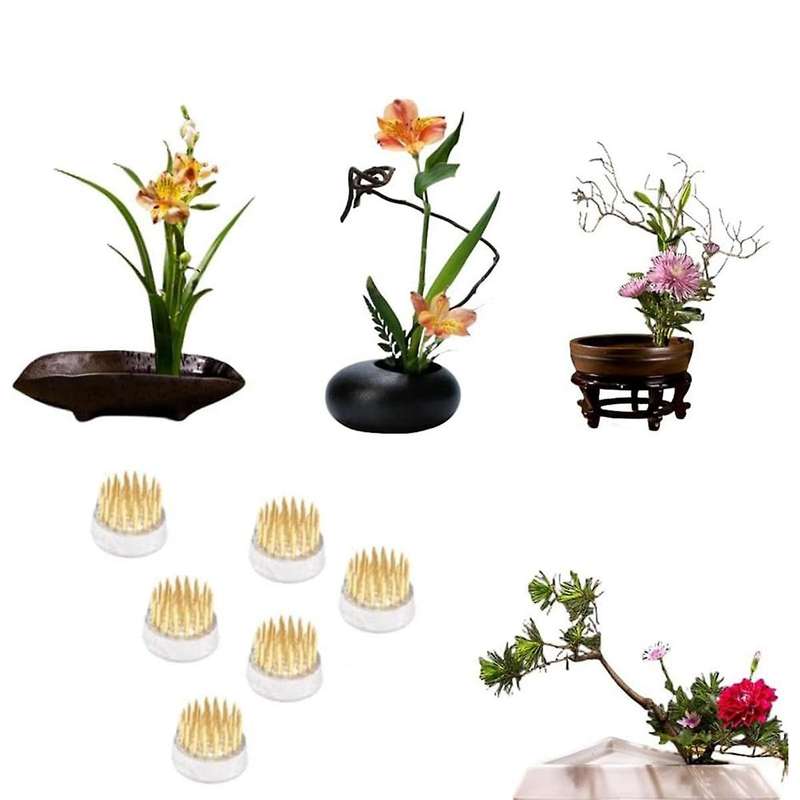 Flower Frogs for Arrangements Holder Flower Frog Brass Pin Frog for Classroom Teaching, Home, Office