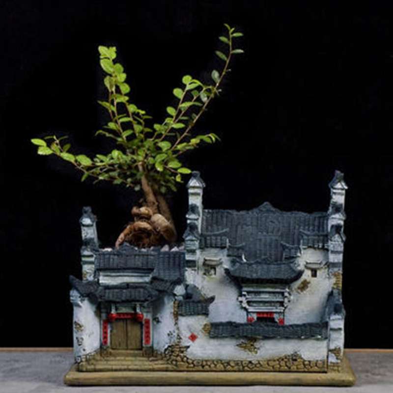 Flower Pot Bonsai Decoration Green Plant Cultivation Suitable for Balcony, Living Room, Office, Gard