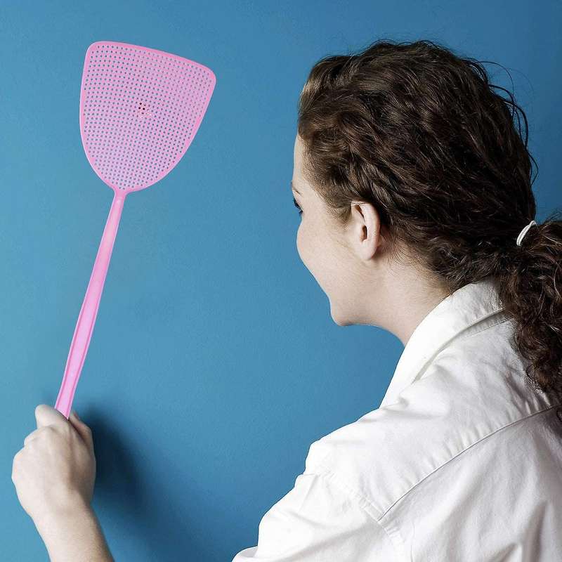 Fly Swatter 10 Pack Plastic Long Handle Fly Swat Manual Swat Pest Control for Flies and Mosquito Mu