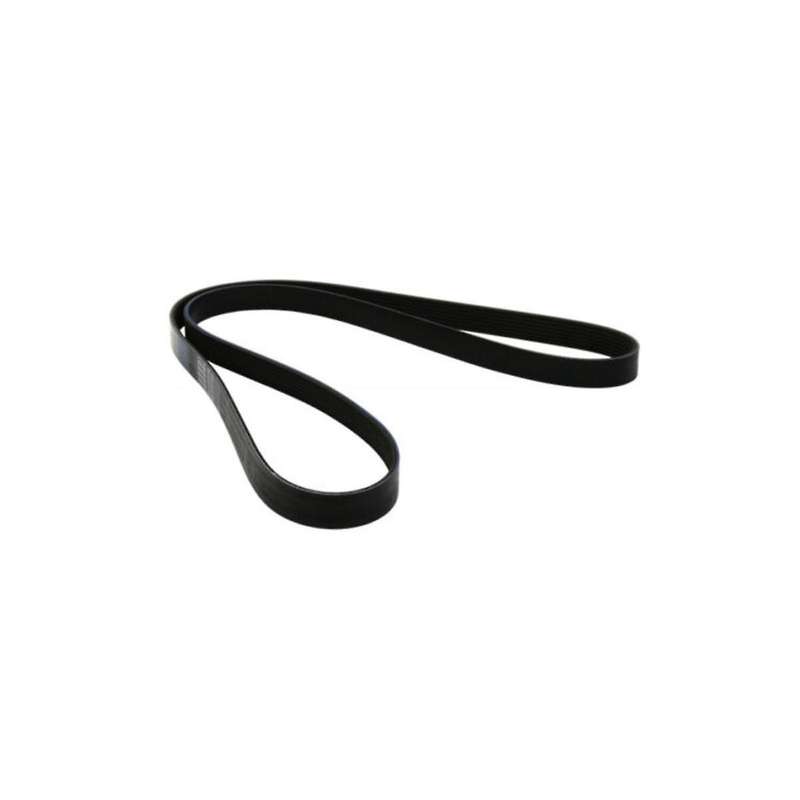 for 2015-2019 (95b)serpentine Ribbed V Belt Assembly 94610225230