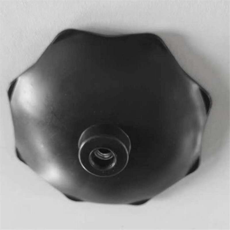 for Grand 1999 Car Rear Spare Tire Fixing Nut 52059160aa Car Accessories