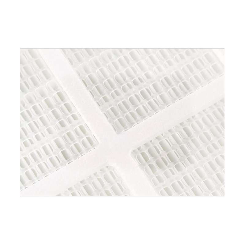 for Healthpro 100/150/250/250 Plus for / V5-cell Mg / First Layer Hepa Filter Air Purifier