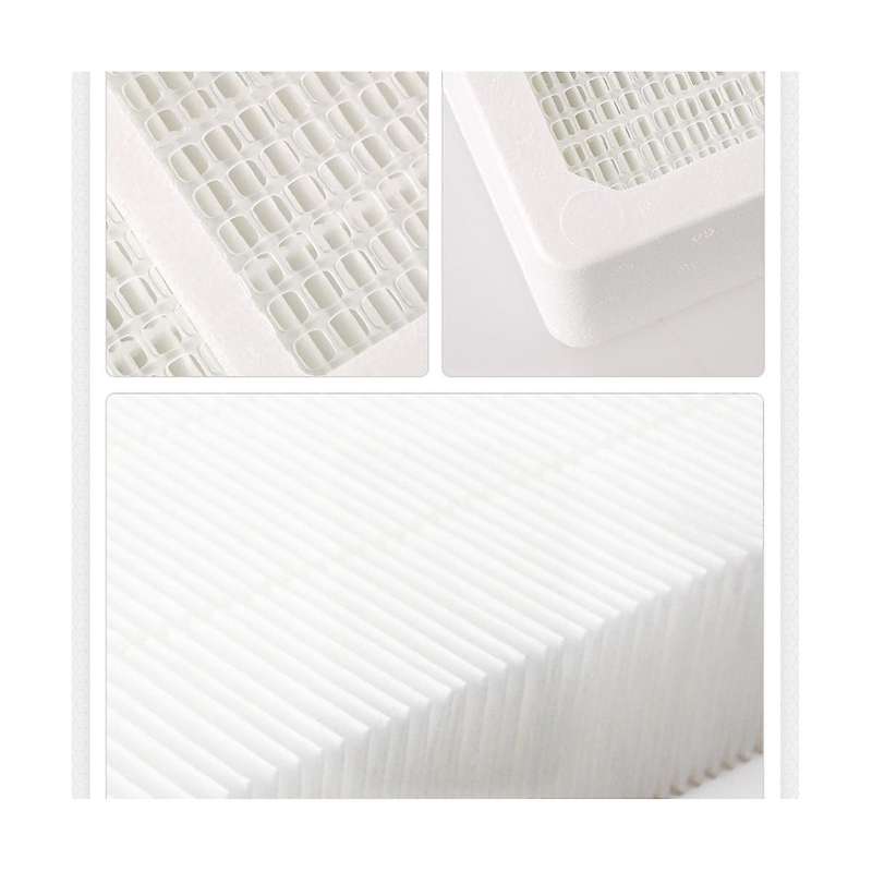 for Healthpro 100/150/250/250 Plus for / V5-cell Mg / First Layer Hepa Filter Air Purifier