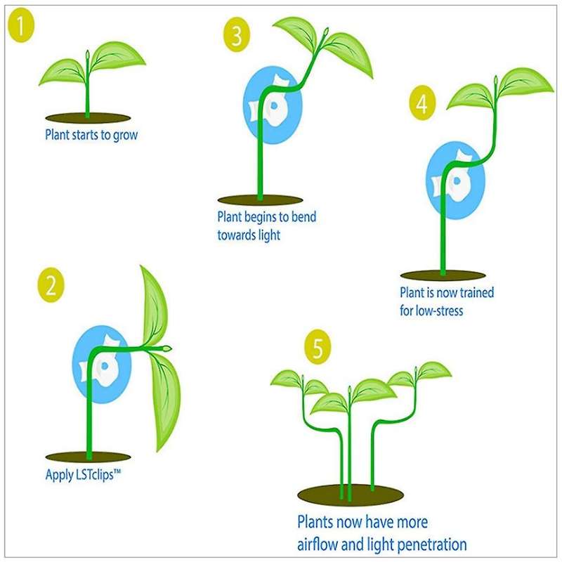 60pcs 360 Degrees Adjustable Bend The Plant Clip Plant Bender