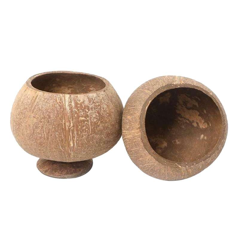 Coconut Shell Bowl Coconut Shells Vegans Breakfast Bowls Eco-friendly