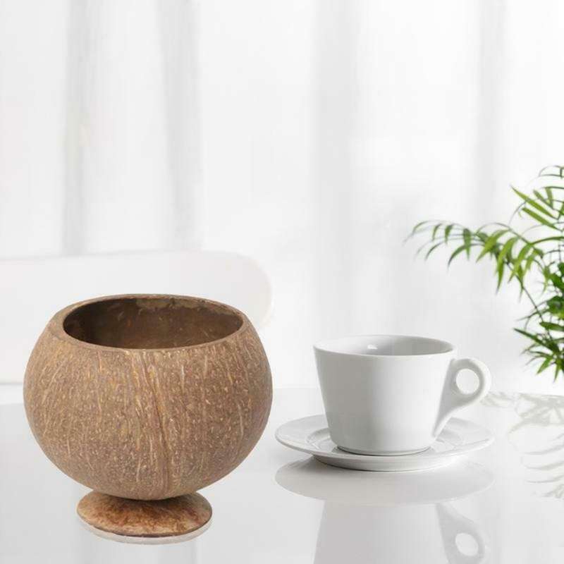 Coconut Shell Bowl Coconut Shells Vegans Breakfast Bowls Eco-friendly