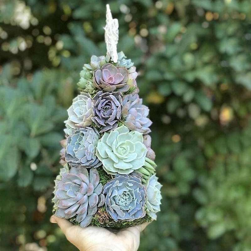 Fleshy Christmas Tree Tabletop Mini Decoration Fleshy Resin Small