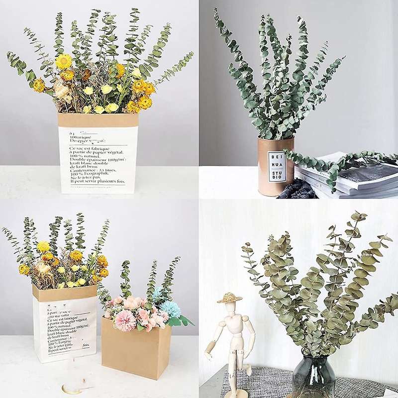 12pcs Dried Eucalyptus Branches Greenery Stems,17 Inch 100% Real
