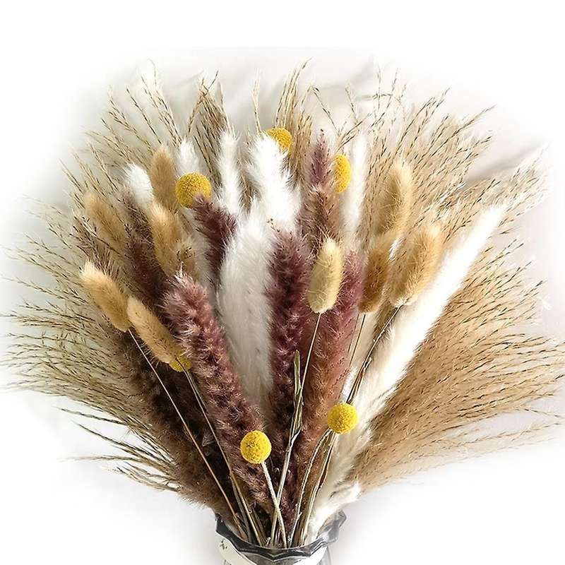 66pcs Dried Pampas Grass Decor Wedding Diy Bohemian Bouquet for Home