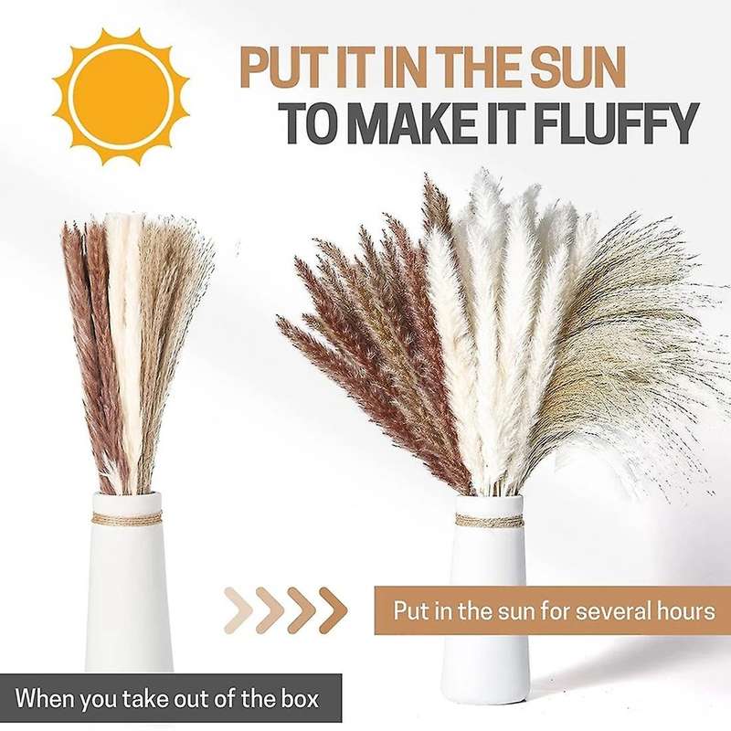 66pcs Dried Pampas Grass Decor Wedding Diy Bohemian Bouquet for Home