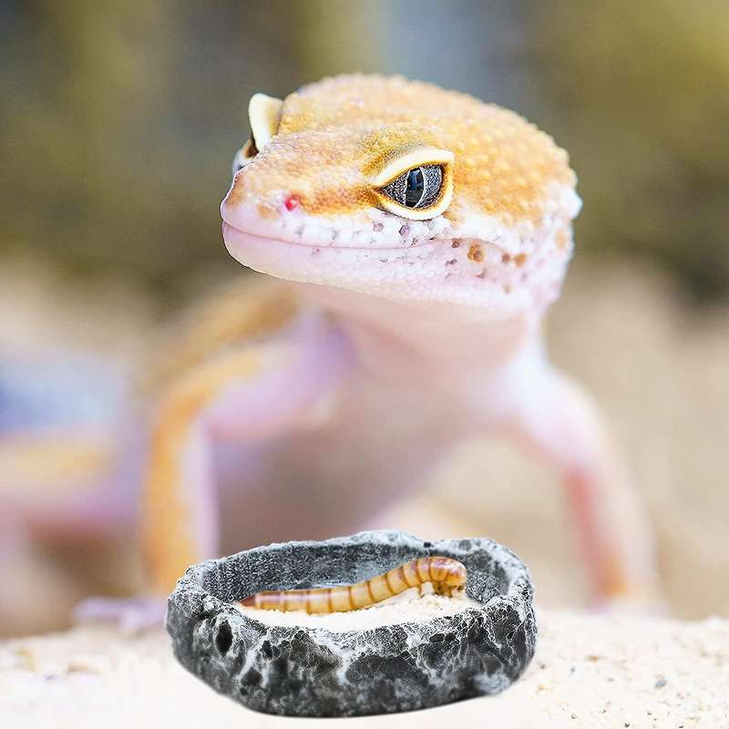 2 Pieces Reptile Water and Food Bowls Feeder for Leopard Reptile
