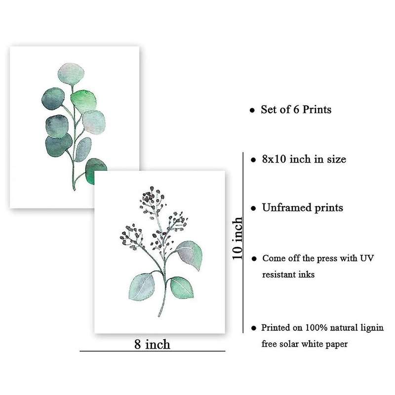Botanical Canvas Art, Unframed Eucalyptus Leaves Set(frameless,6 Pcs)