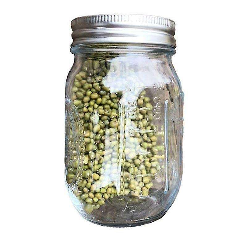Sprouting Jar with Screen Lid Wide Mouth Quart Mason Sprouter