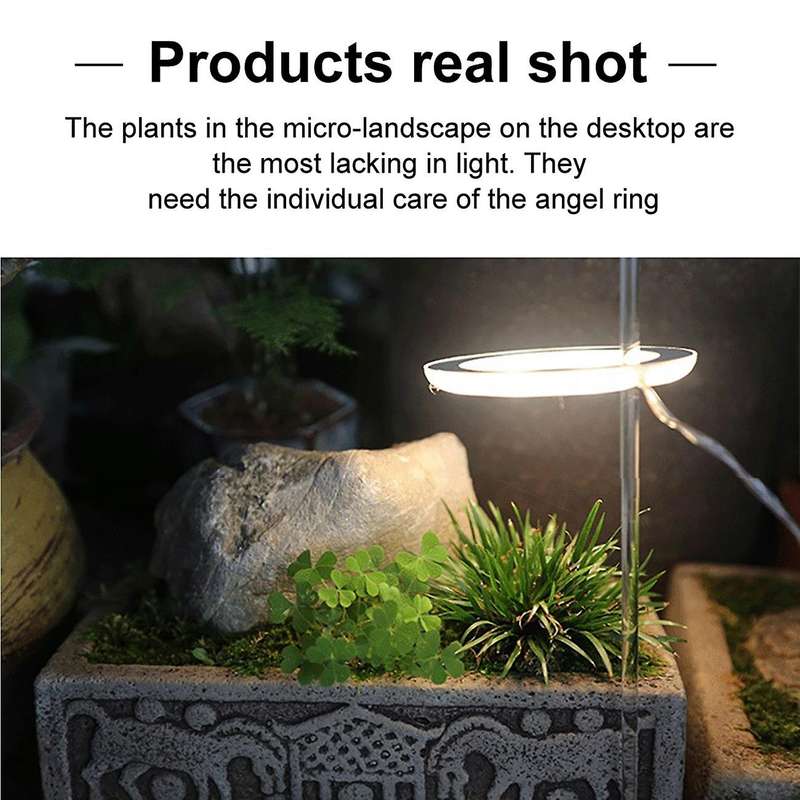 Ring Grow Light Dc5v Usb Phytolamp for Plants Led Full Spectrum F