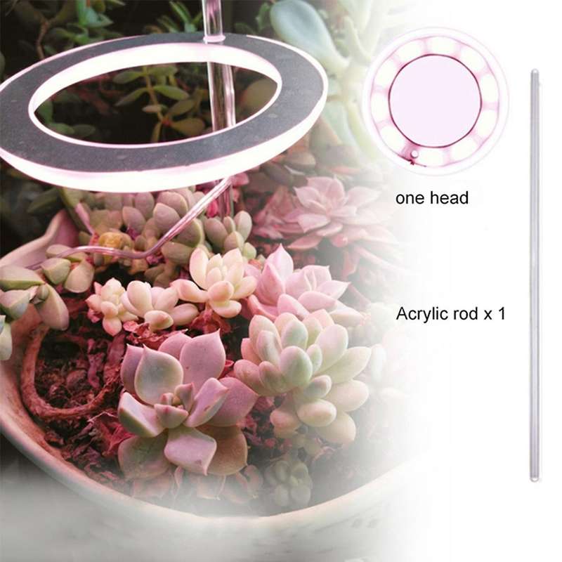 Ring Grow Light Dc5v Usb Phytolamp for Plants Led Full Spectrum F