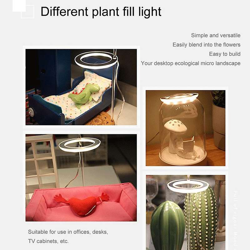 Ring Grow Light Dc5v Usb Phytolamp for Plants Led Full Spectrum F