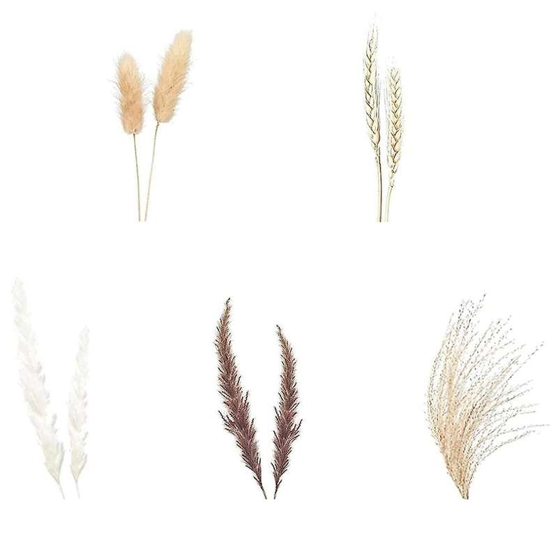 69pcs Natural Dried Pampas Grasses Decoration, Bouquet