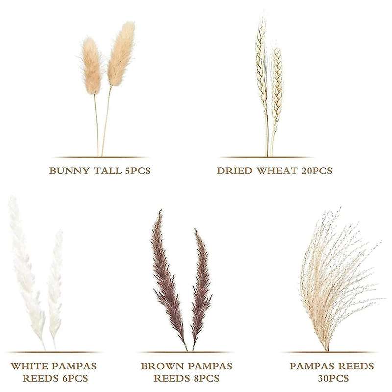 69pcs Natural Dried Pampas Grasses Decoration, Bouquet