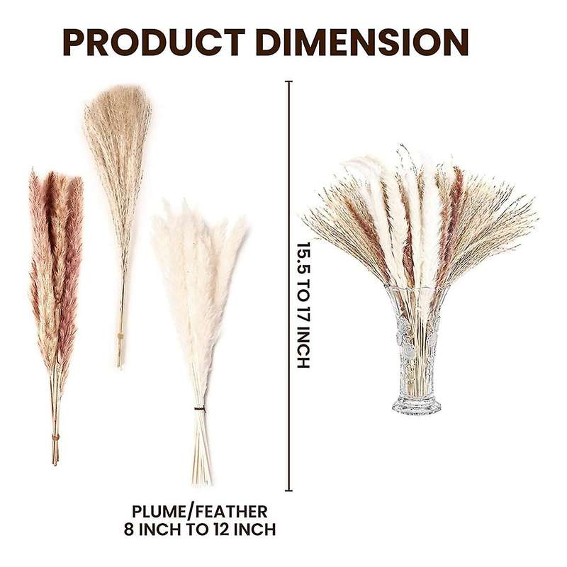 60pcs Natural Pampas Grass Stems 17 Inch for Bedroom, Living Room