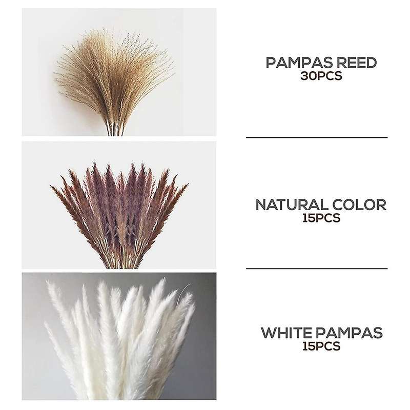 60pcs Natural Pampas Grass Stems 17 Inch for Bedroom, Living Room