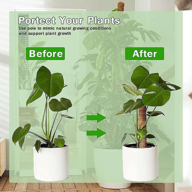 2pcs Coir Moss Pole for Monstera & Cheese Plant, with Cable Ties