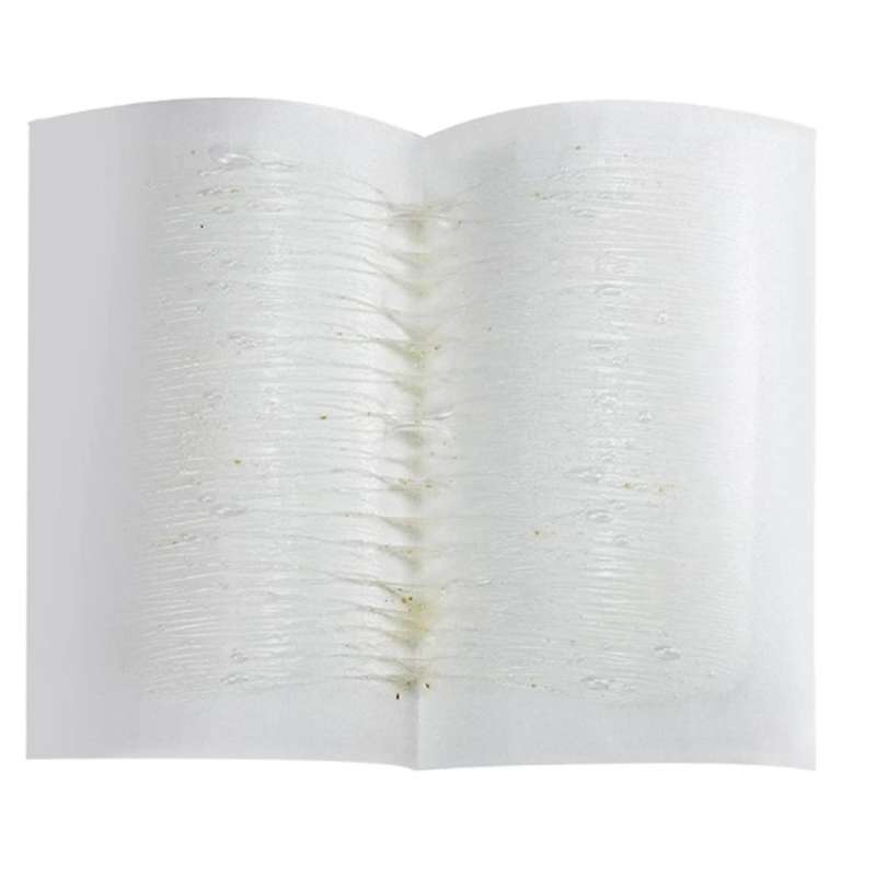 30pcs Fruit Fly Trap Fruit Fly Trap Indoor / Outdoor Use Fruit Fly
