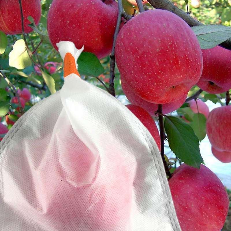 100pcs Grape Protection Bags Agricultural Against Insect Pouch