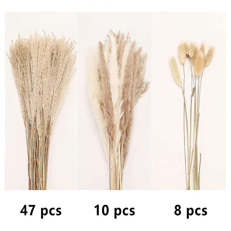 Pampas Grass Decor Tall Fluffy, Dried Grass for Floral Arrangement