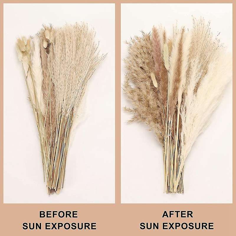 Pampas Grass Decor Tall Fluffy, Dried Grass for Floral Arrangement