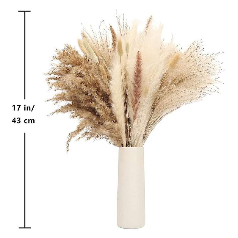 Pampas Grass Decor Tall Fluffy, Dried Grass for Floral Arrangement