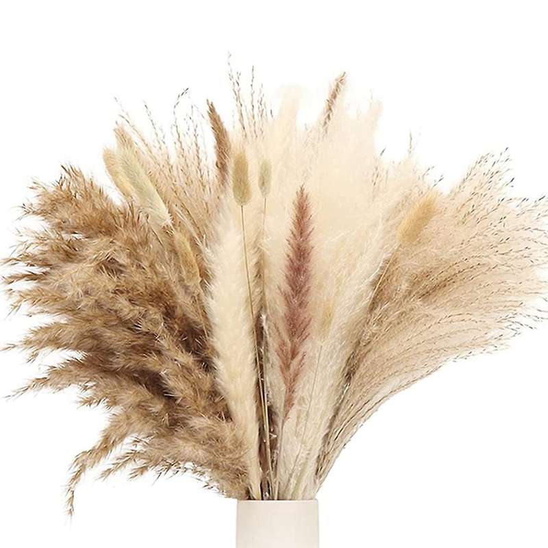 Pampas Grass Decor Tall Fluffy, Dried Grass for Floral Arrangement