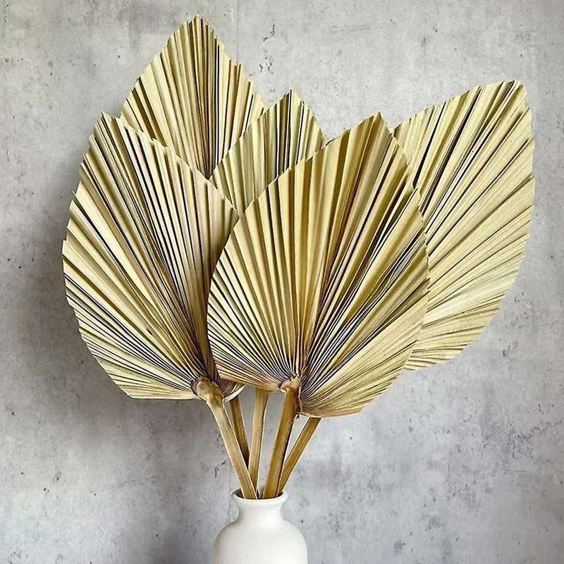 5pcs Trimmed Dried Palm Leaves, Boho Wedding Decor