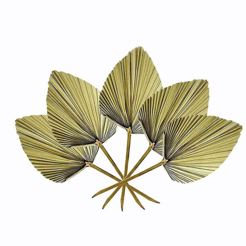 5pcs Trimmed Dried Palm Leaves, Boho Wedding Decor