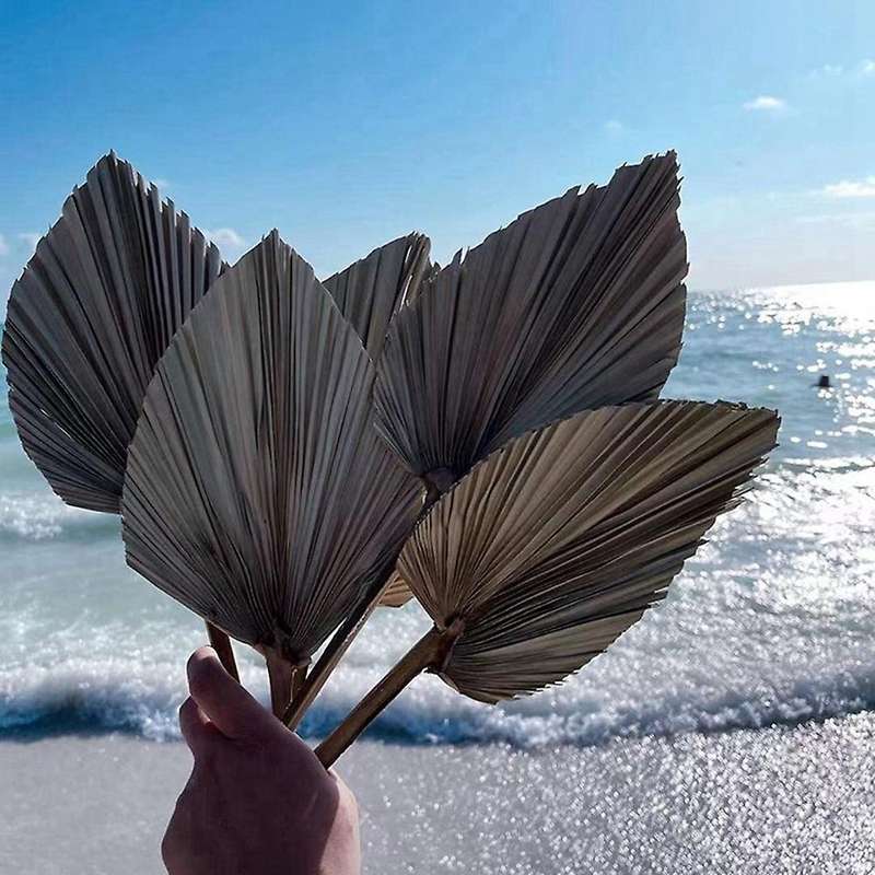 5pcs Trimmed Dried Palm Leaves, Boho Wedding Decor