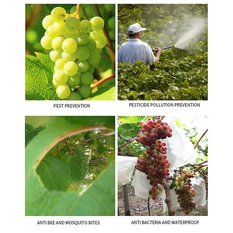 100pcs Agricultural Pest Control Anti-bird Mesh Grape Bag, 20x25cm