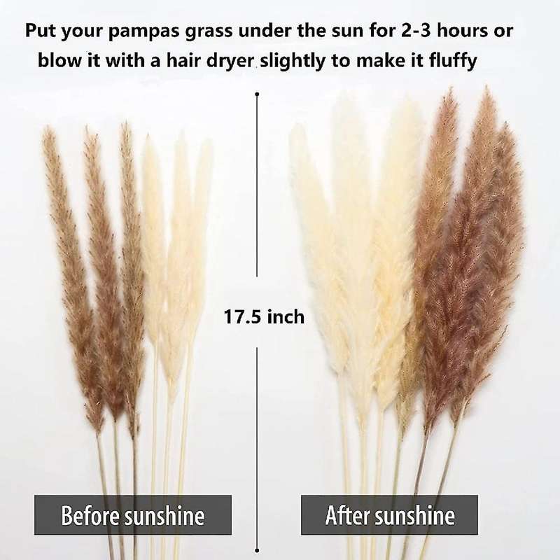 60 Pcs 17.5inch Natural Pampas Grass Branches,for Wedding,home Decor