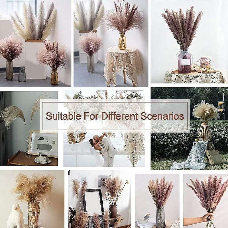 60 Pcs 17.5inch Natural Pampas Grass Branches,for Wedding,home Decor