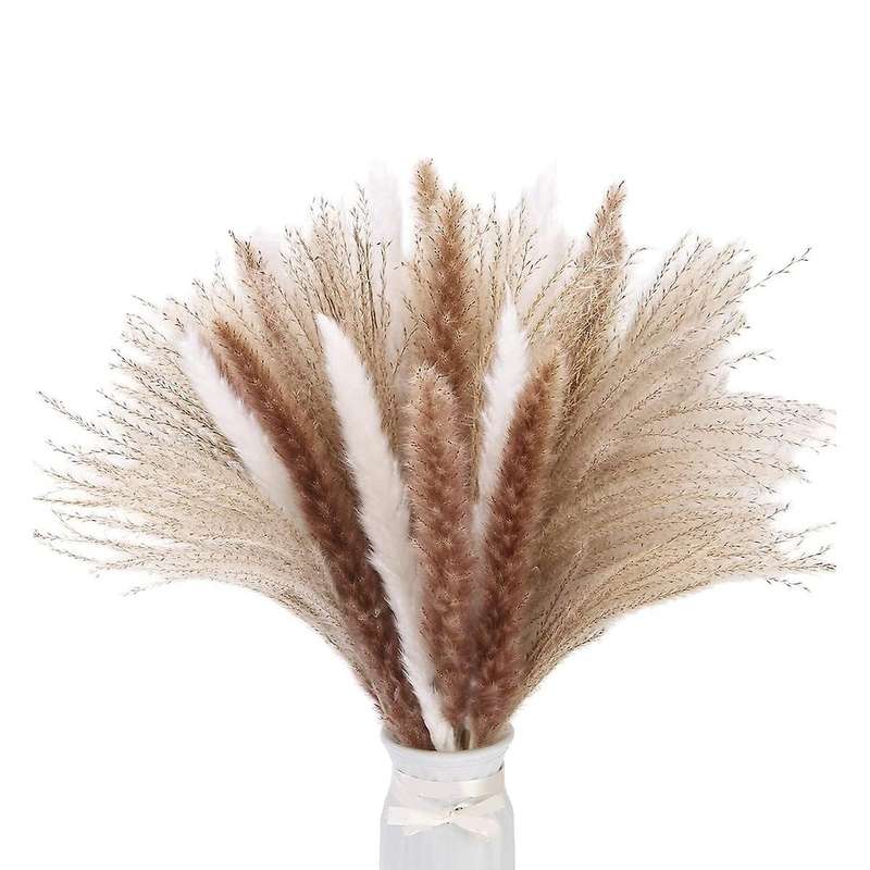 60 Pcs 17.5inch Natural Pampas Grass Branches,for Wedding,home Decor