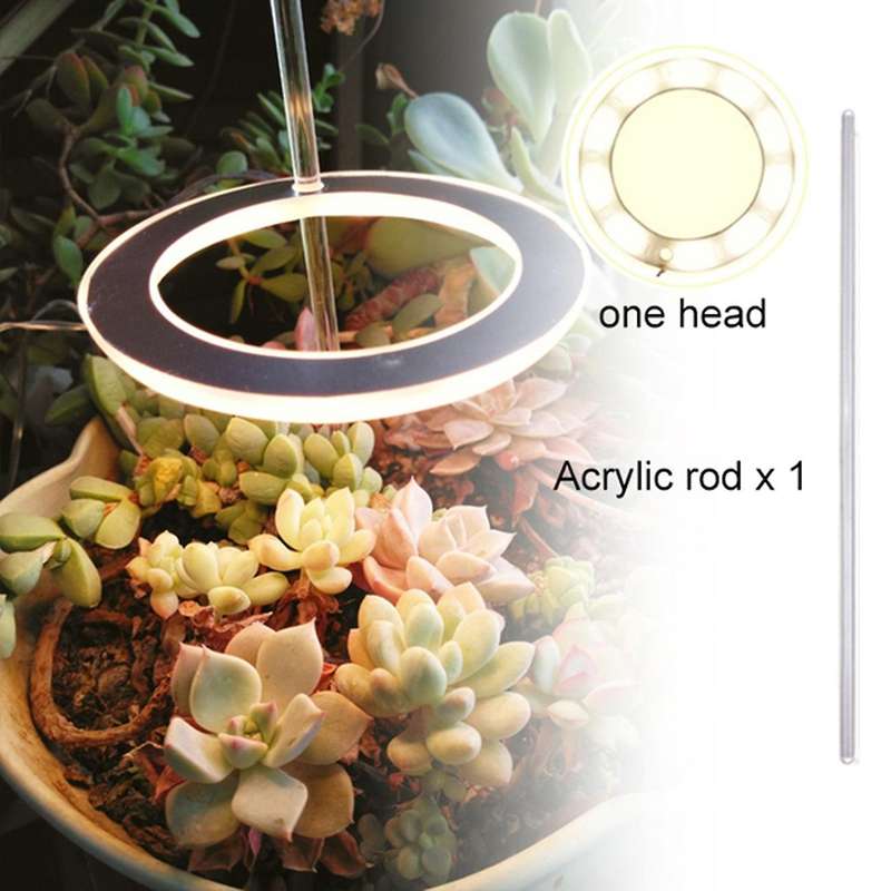 Ring Grow Light Dc5v Usb Phytolamp for Plants Led Full Spectrum B
