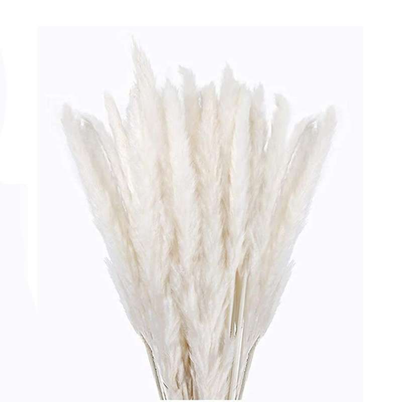 30 Pcs White Pampas Grass,17inch for Home Kitchen Photographing